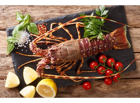 Langouste Royale