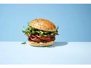 Pain à burger sans gluten